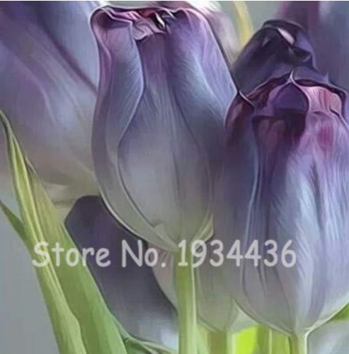 200 Pcs Rare Color Ice Cream Tulip Flower Tulipagesneriana Tulipanes Bonsai Tulipa Gesneriana Plant Perennial Wedding Home Decor