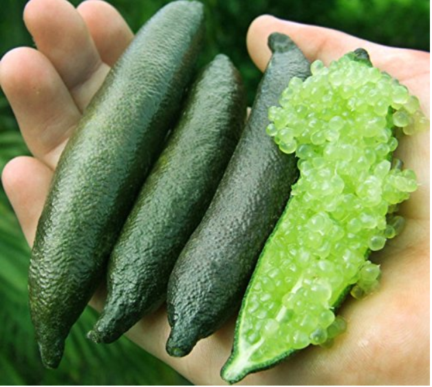 20 Pcs Novel Finger Limes Citrus Pomegranate Bonsai Delicious Sweet Fruit Bonsai for Home Garden Plant Mix Colors