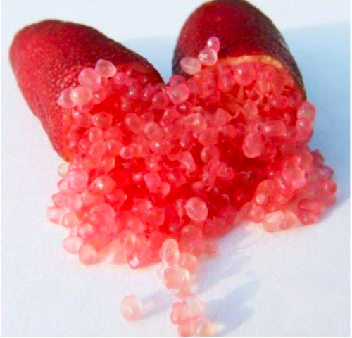 20 Pcs Novel Finger Limes Citrus Pomegranate Bonsai Delicious Sweet Fruit Bonsai for Home Garden Plant Mix Colors