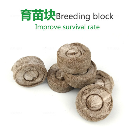 3 Block Peat Pellets Seed Startong Plugs Approx 3.1cm