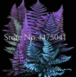 150 Pcs 24 Kinds Bonsai Fern, Rare Garden Creeper Vines Grass Mixed Foliage Flower Bonsai Exotic Plants for Flower Pots Plant
