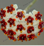 24 Color Hoya Flower Flores Rare Perennial Plant Hoya Carnosa Plante Bonsai plantas Pot Plant for Home Garden 100Pcs