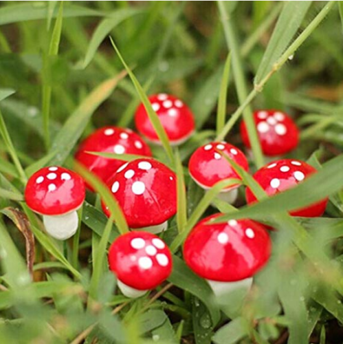 Miniature Garden Decor - 10 Pieces Mini Red Mushroom Garden Ornament Miniature Plant Pots Fairy DIY Dollhouse - Miniature Fairy Garden Décor