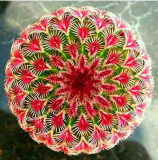 200 Pcs/Pack Egg Succulents Bonsai Echinopsis Tubiflora Cactus Flores Rare Flower Lithops Pots Planters Home Garden Plants - (Color: 9)