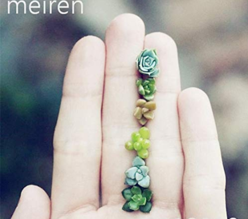 100 pcs Mix Lithops Bonsai Living Stones Succulent Cactus Organic Garden, Office Desktop Bonsai for Indoor suculentas plantas - (Color: 1)