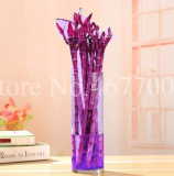 10 Pcs Rainbow Lucky Bamboo Bonsai Small Potted Plants Purify Dracaena Plantas,Planting Simple for Home & Garden