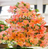 Bonsai Rhododendron Flower Easy to Grow Azalea Bonsai Family & Garden Flower Rare Plant DIY Indoor Or Outdoor Dwarf Tree 100 Pcs