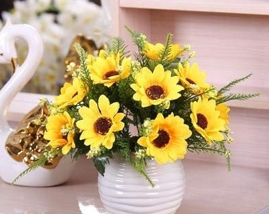 24 Kinds Different Flower Plant Bonsai Seedss Indoor Potted Seedsplants Exotic Suculenta Seedsflower for Garden Decoration