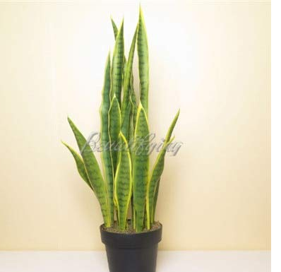 300Pcs Artificial Succulent Agave Sansevieria Trifasciata Bonsai Potted Balcony Office Plant Pots Indoor Plants Perennial Bonsai