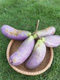 20PCS Holboellia latifolia Wall. Fruit Seeds Chines Heirloom Wild Banana Fruits