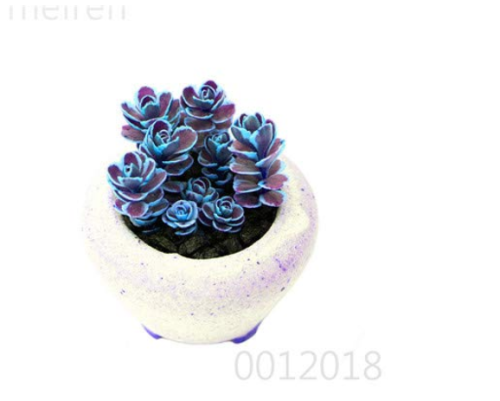Mountain Rose Bonsai Rare Succulent Bonsai Flower Bonsai for Indoor Succulent Plants Green Rose Garden 100 Pcs Seedsplants - (Color: 1)