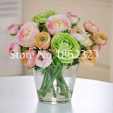  100 pcs Rouge Ranunculus Flower Seeds, Indoor Bonsai Plant, Home DIY Persian Buttercup Potted Plant
