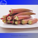 Heirloom Green Okra Clemsons Spineless Red gumbo Herb Vegetable Seeds, Professional Pack, 100 Seeds / Pack, Ladies' fingers