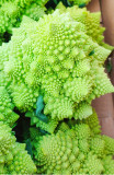 100PCS Roman Broccoli Seeds Vegetables