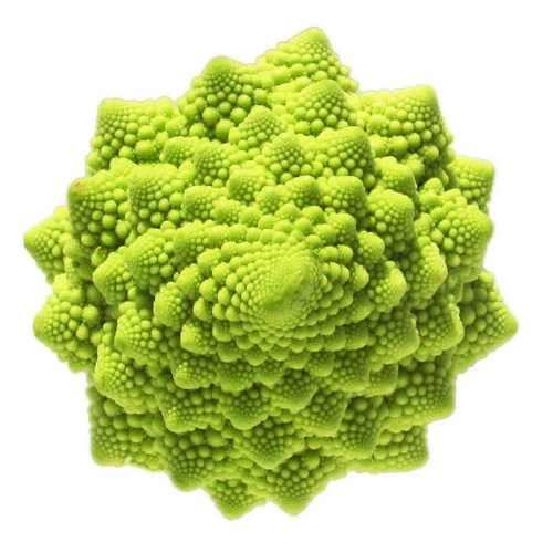 100PCS Roman Broccoli Seeds Vegetables