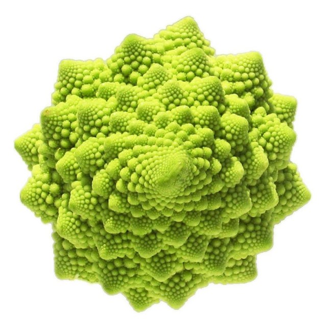 100PCS Roman Broccoli Seeds Vegetables