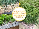 Different Sizes Biodegradable Non-woven Nursery Bags Plant Grow Bags Fabric Seedling Pots Eco-Friendly Aeration Planting Bags