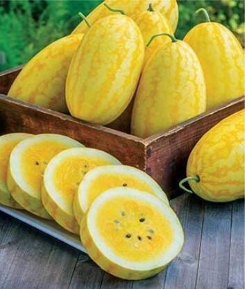 100PCS Watermelon Seeds Yellow Skin Yellow Inside