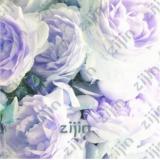 20PCS Rare Chinese Peony Seeds Light Purplish White Double Flowers