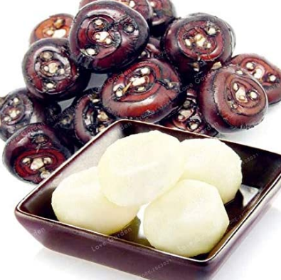 100PCS Chinese Water Chestnut Seed Herbaceous Aquatic Plants