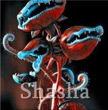 300PCS Garden Potted Flytrap Seeds Dionaea Muscipula