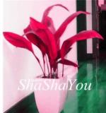 200PCS Hosta Seeds - 2 Colors Available