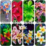 100PCS Garden Plumeria Seeds - Mixed 8 Colors