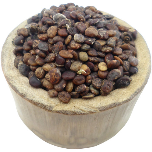 50PCS Pueraria lobata Seeds Kudzu Gegen Plant