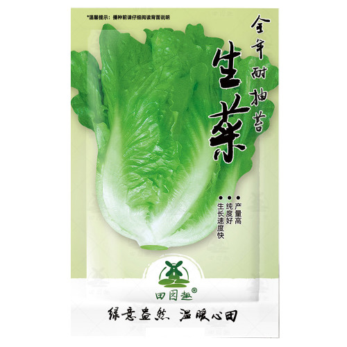 2000PCS Lettuce Seeds  Parris Island Cos  Popular Garden Vegetable