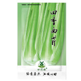 5000pcs Tall Utah Celery Seeds | Non-GMO | Fresh Garden Seeds USA Grown Heirloom