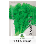 2000pcs Garland Chrysanthemum Seeds Tong Ho edible Chrysanthemum coronarium Asia Veg