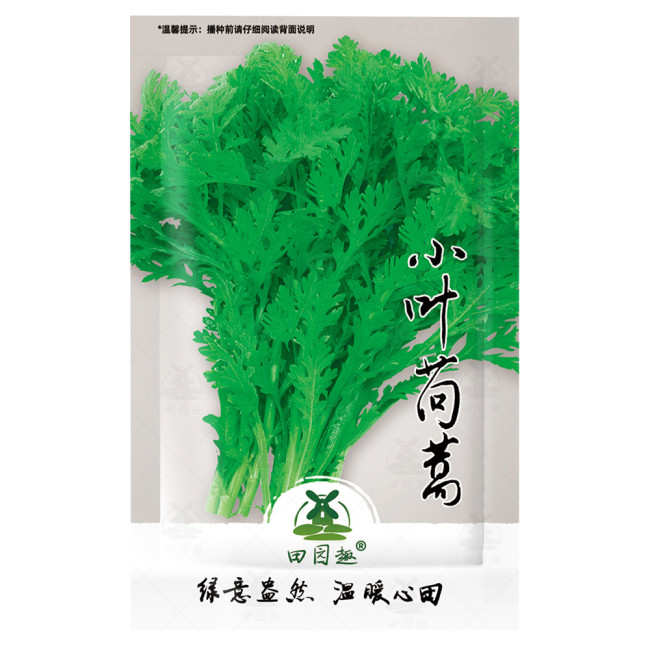 2000pcs Garland Chrysanthemum Seeds Tong Ho edible Chrysanthemum coronarium Asia Veg