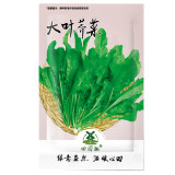3000pcs Shepherd's Purse Seeds Vegetable Modern Herbal Capsella Bursa-pastoris