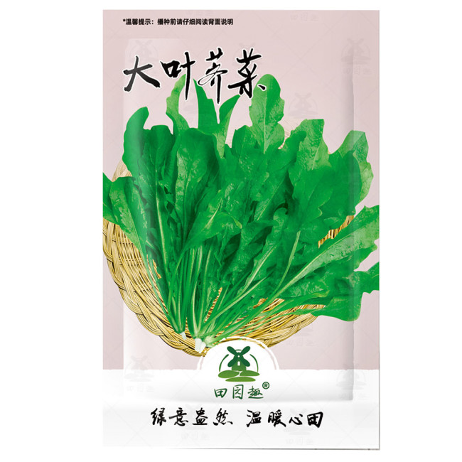3000pcs Shepherd's Purse Seeds Vegetable Modern Herbal Capsella Bursa-pastoris