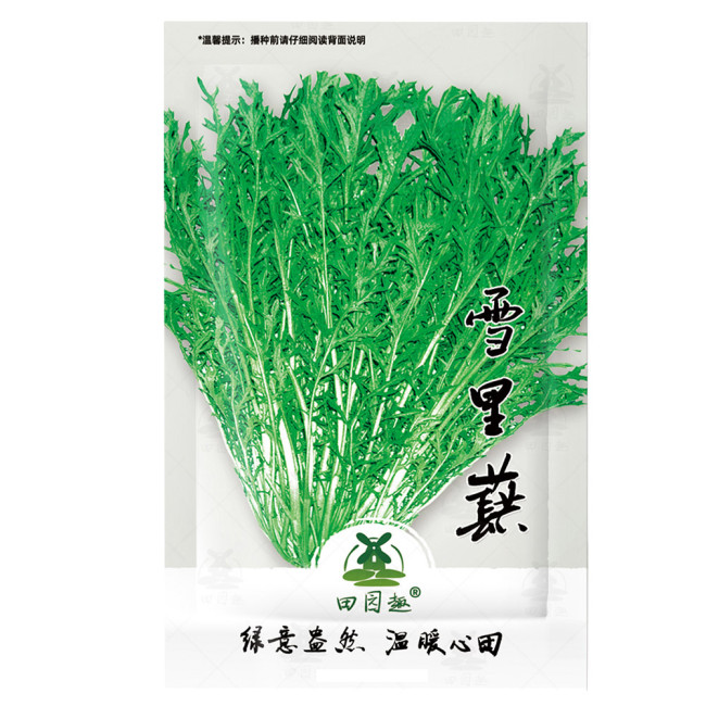 4000pcs Chinese mustard seeds, xuecai, xuelihong, gai choy, kaai tsoi  Potherb mustard