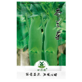 600pcs Mustard seed vegetable seed Choy Sum Seeds