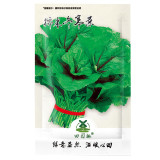 1000pcs RARE ANCIENT Chinese Mallow seeds, Chinese winter amaranth