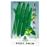 70pcs Cucumber Seeds Self-Pollinated Organic Vegetable