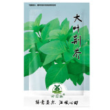 4000pcs Nepeta cataria   Camelina sativa, Camelina sativa, Artemisia SPP