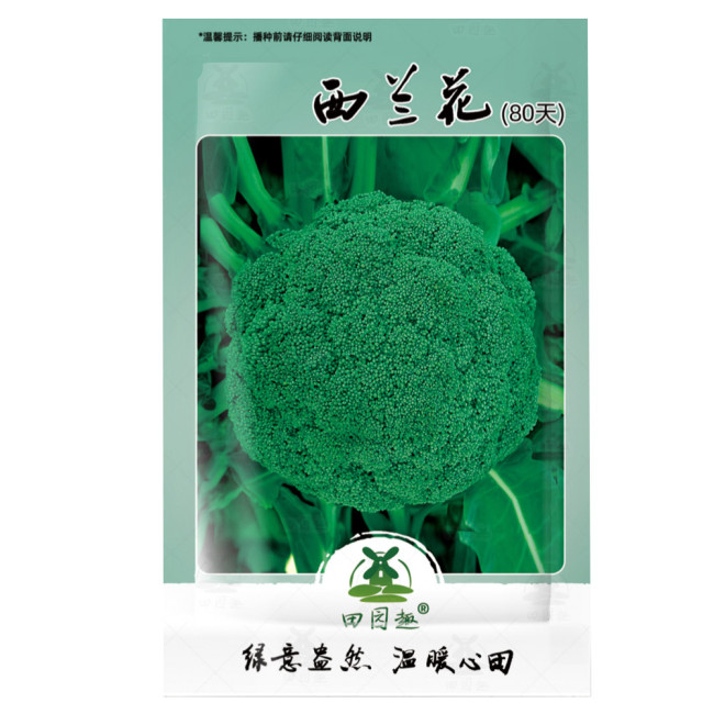 600pcs Seeds Broccoli Vitamin Cabbage Planting Sprouting Organic Heirloom