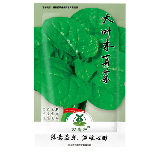 100pcs Ceylon Spinach   Malabar Spinach Green, Asian Climbing Spinach