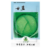 400pcs Cabbage Seeds Cabbage Wraps NON-GMO Heirloom  Fresh Seed