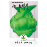 3500pcs Vegetable seed Asian Home Garden Vegetable Fresh