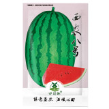 25pcs Watermelon Seeds | Organic Fruit WatermelonWatermelon Seeds | Giant Sweet Green Striped Red Fruit Seed Fresh