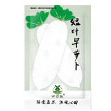 900pcs Radish seed White icicle radish short leaf non-gm garden vegetable seed