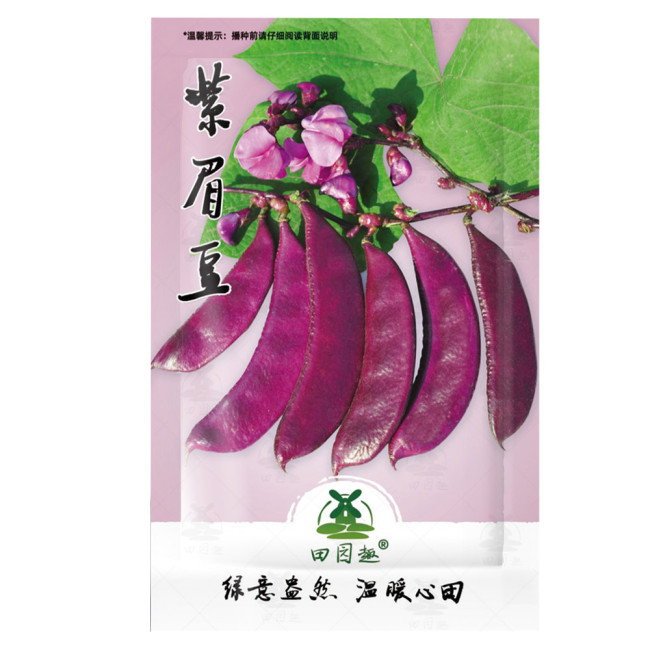 10pcs RARE hyacinth bean seeds, Dolichos lablab, Dolichos purpureus