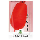 800pcs big Radish Seeds | Red White Long Radishes Vegetable Seed