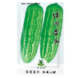 15pcs Seeds Chinese Bitter Melon Gourd (Momordica Charantia) Organic Heirloom
