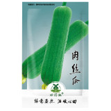 35pcs Vegetables Seeds Garden Plants- Luffa cylindrica - Loofah Seeds