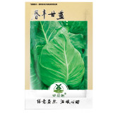 400pcs CABBAGE SEED, EARLY JERSEY WAKEFIELD, HEIRLOOM, ORGANIC, NON GMO